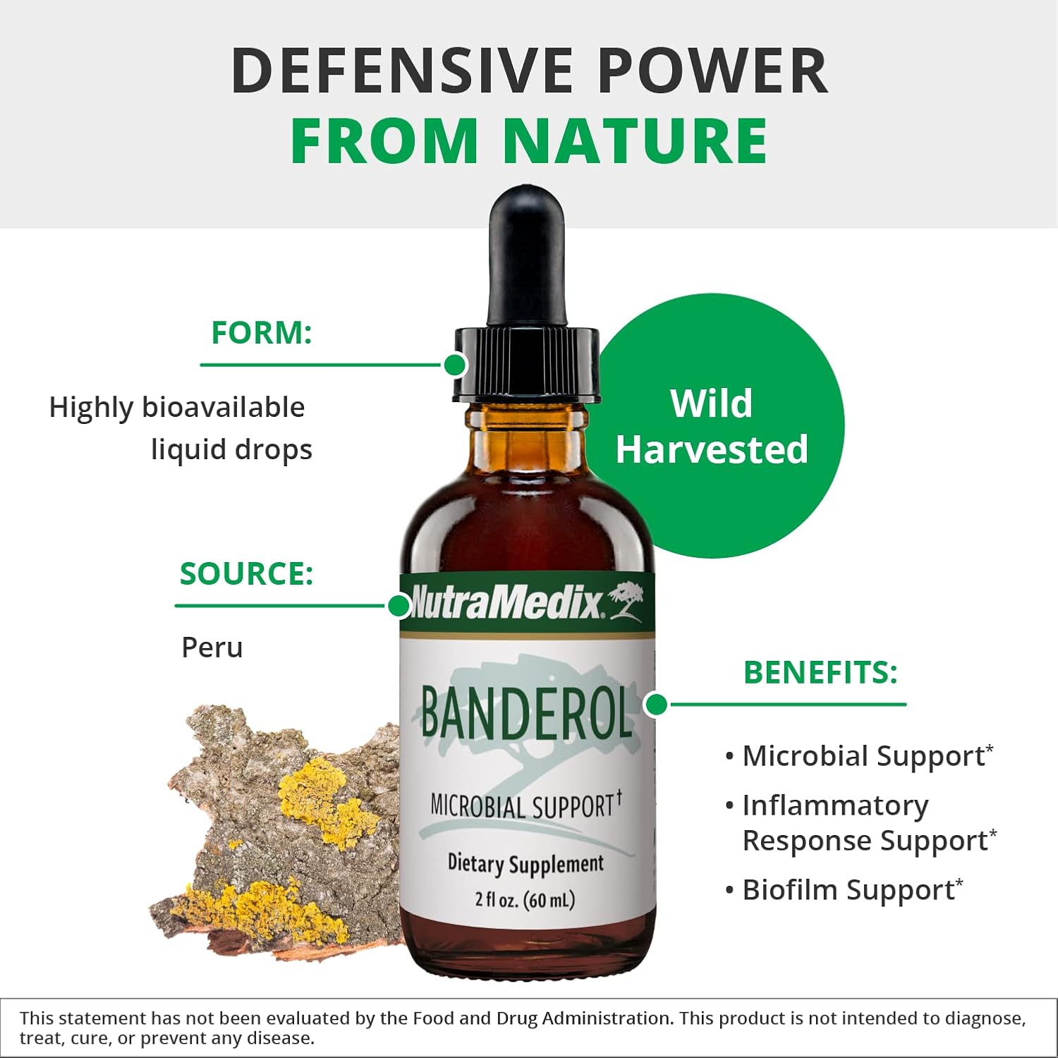 NutraMedix Banderol - Daily Immune Support Supplement - Vegan Tincture - 30 ml - görsel 4