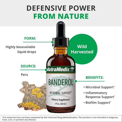NutraMedix Banderol - Daily Immune Support Supplement - Vegan Tincture - 30 ml