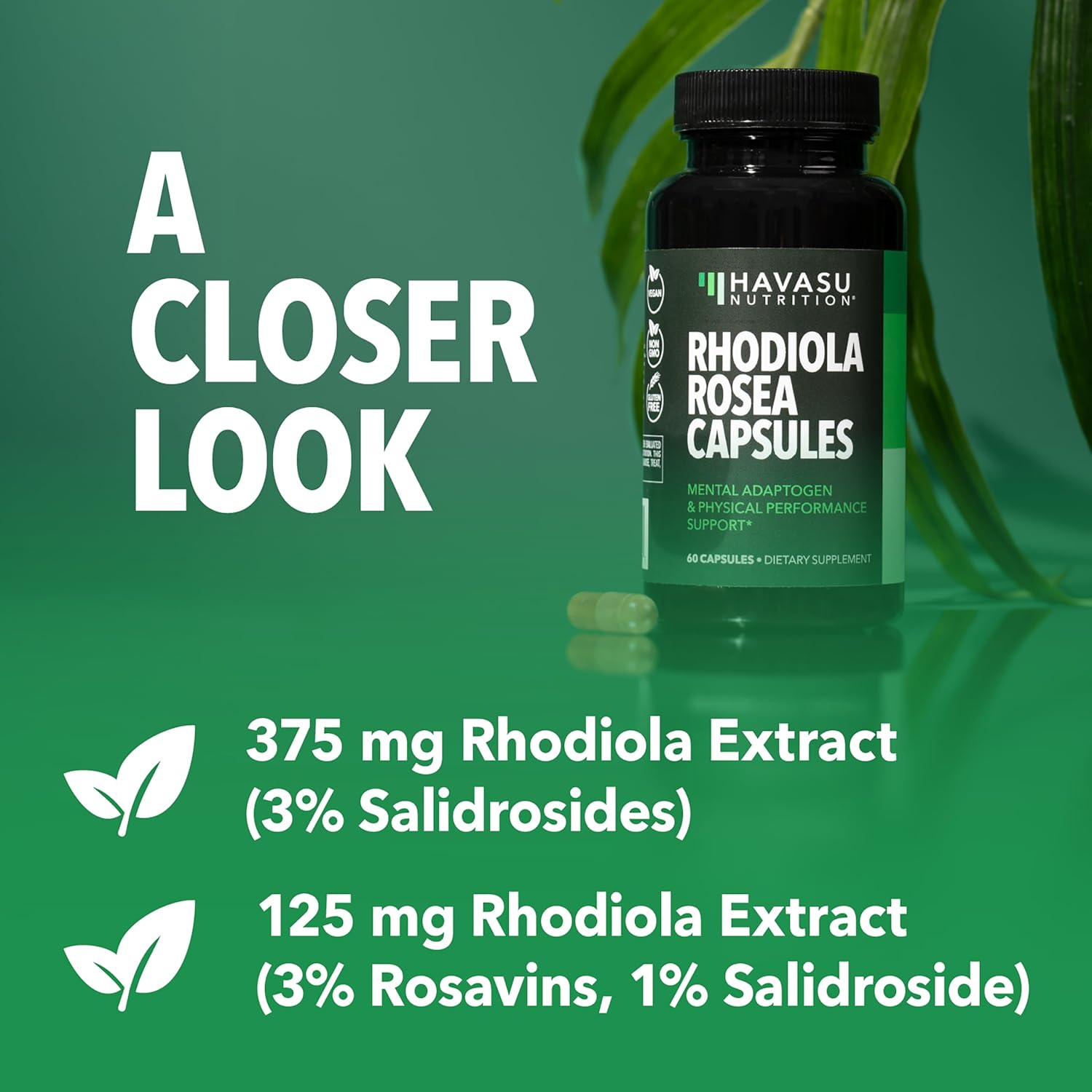 HAVASU NUTRITION Rhodiola Rosea Capsules – Adaptogen for Mental & Physical Performance, 3% Salidrosides, 60 Count - görsel 5