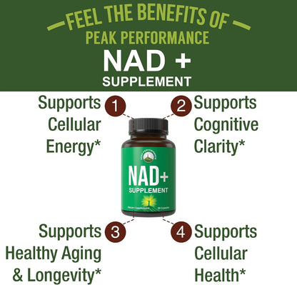 Peak Performance Ultra High Purity NAD Supplement Capsule