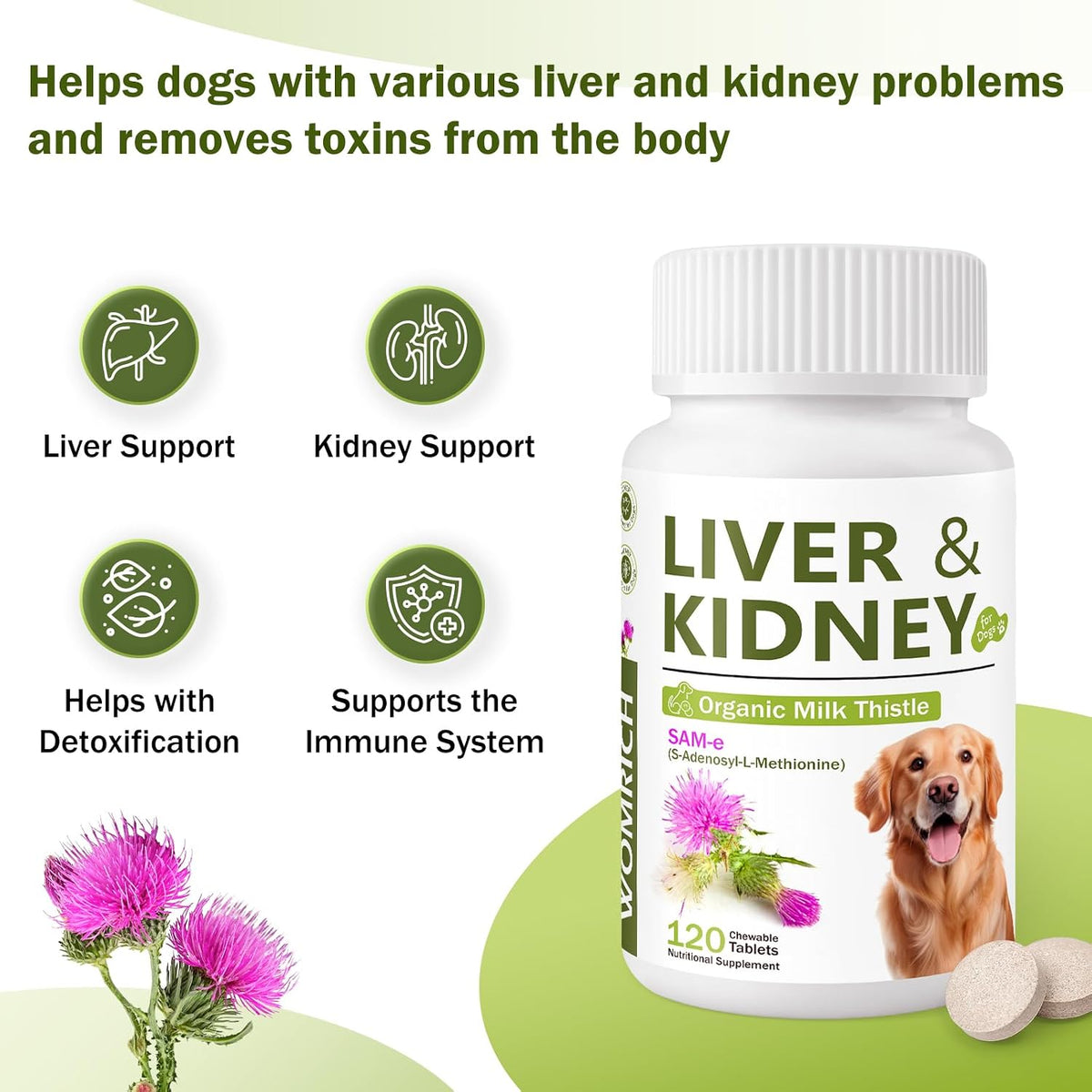 Milk Thistle & SAM-E for Dogs - Advanced Liver & Kidney Support with Silymarin, Detox Supplement - 120 Chewable Tablets - görsel 4