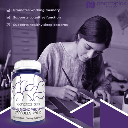 Nootropics Depot Uridine Monophosphate Capsules (60 Count) – Disodium Salt