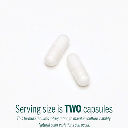 Genestra Brands HMF Capsules - Probiotic Formula to Support a Healthy Gut Flora, 60 Capsules