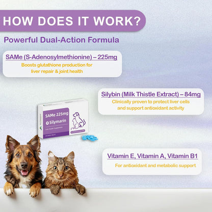 NUTRIARISE SAMe for Dogs – Liver Support with Milk Thistle for Large Breeds