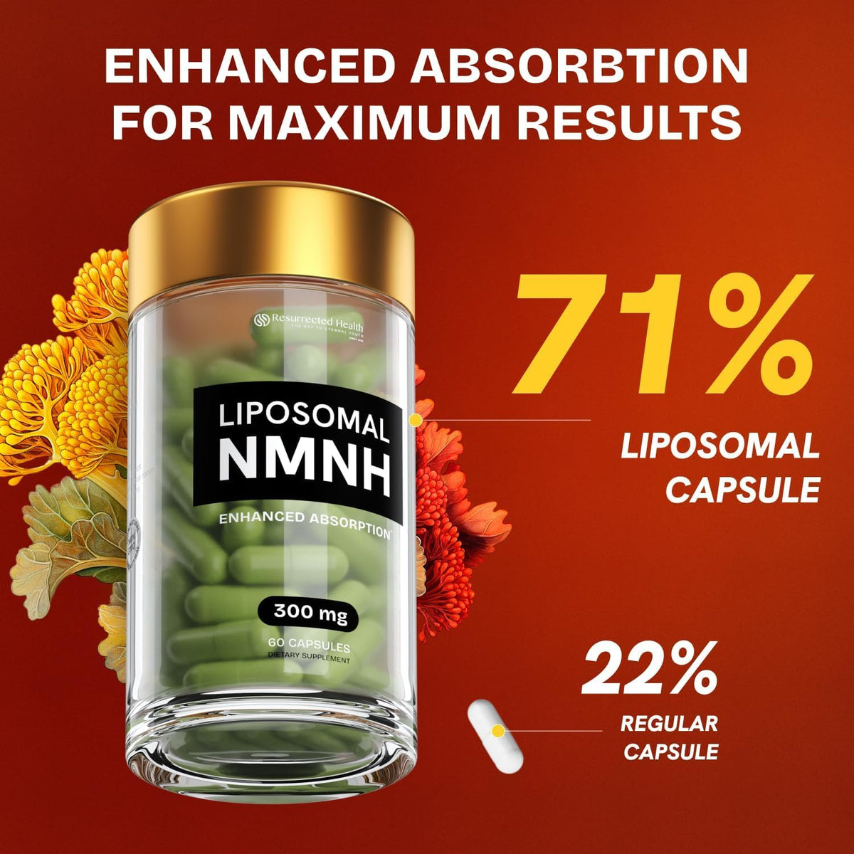 Resurrected Health Liposomal NMNH 300mg – NAD+ Support Supplement (240 Capsules) - görsel 4