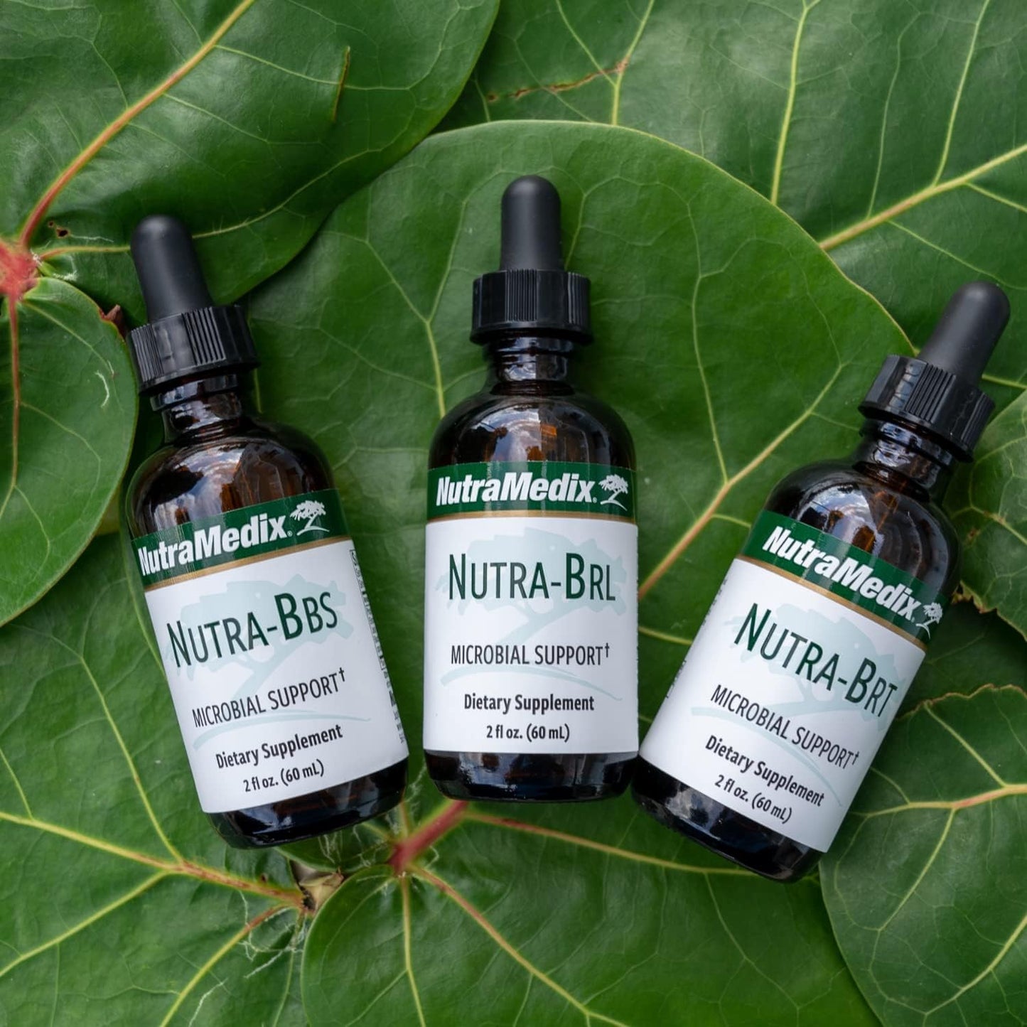 Nutramedix Nutra BRT - Liquid Herbal Supplement for Immune & Digestive Support (60 ml) - görsel 8