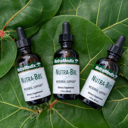 Nutramedix Nutra BRT - Liquid Herbal Supplement for Immune & Digestive Support (60 ml)