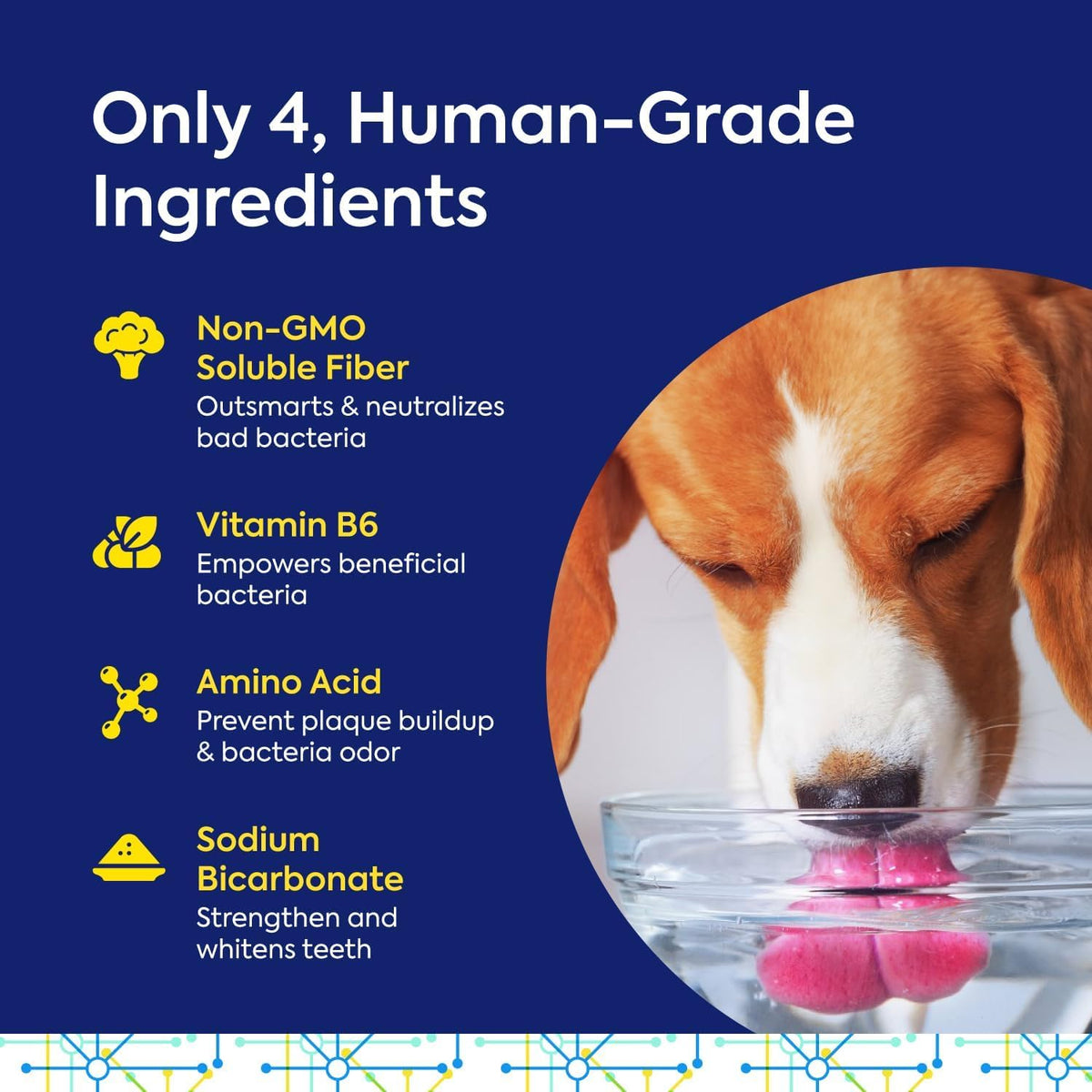 Protektin42 Prebiotic Dog Dental Powder Refill - 180 Servings (6 Packets) - görsel 6