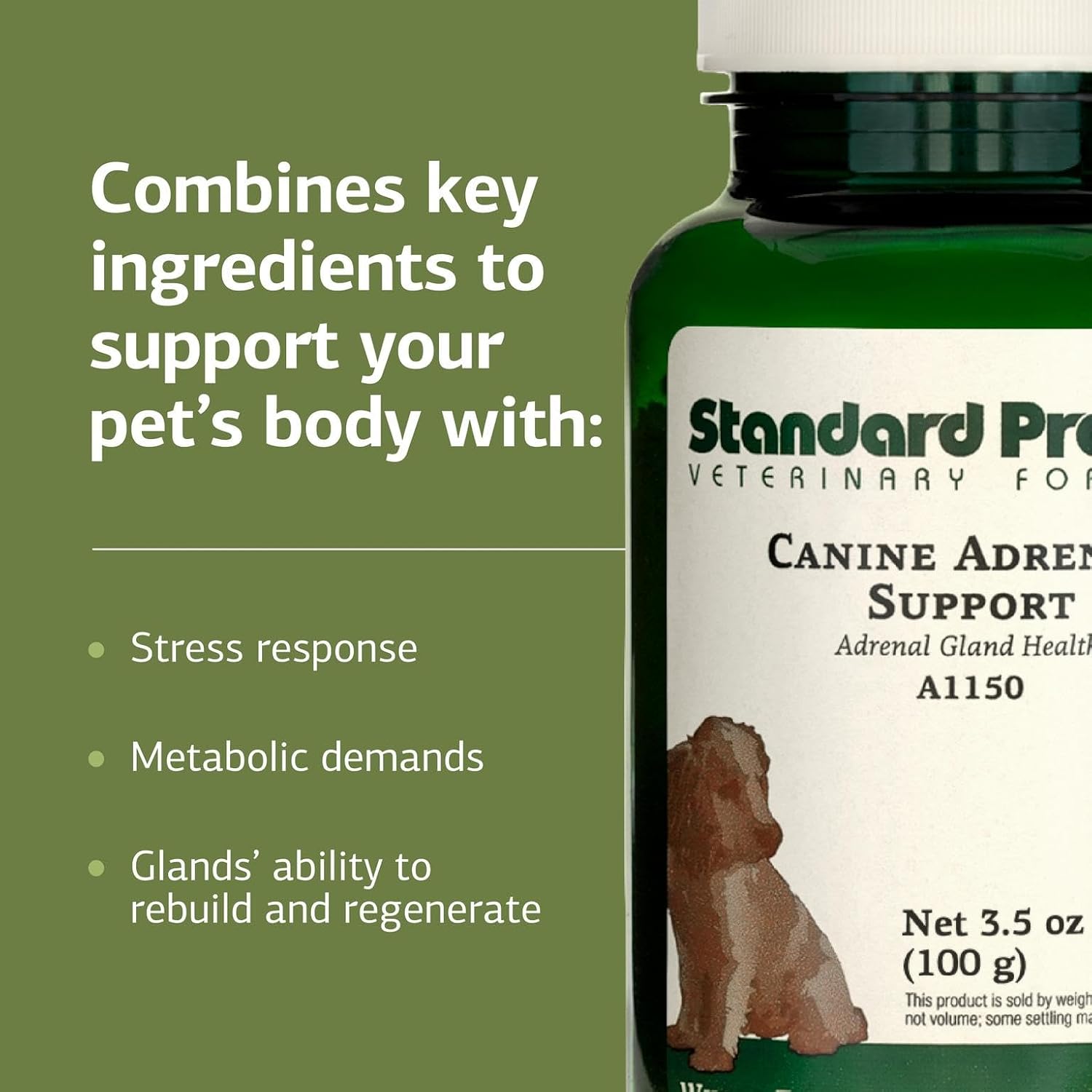 Standard Process Canine Adrenal Support - 100g - görsel 4