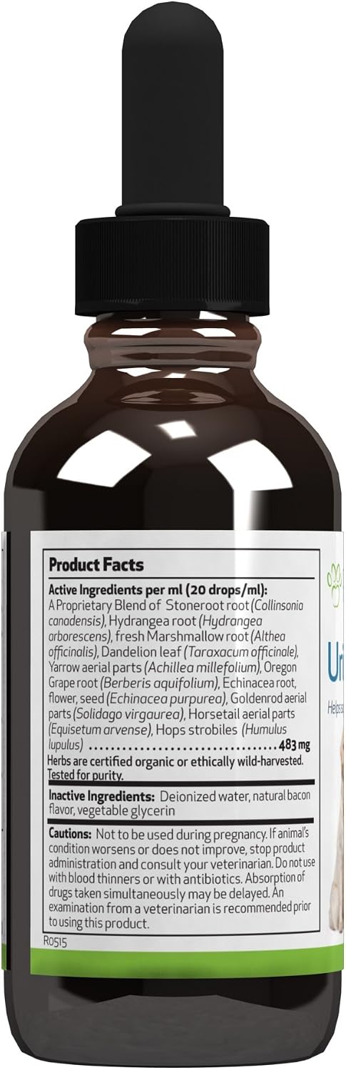 Pet Wellbeing Urinary Gold for Dogs - Vet-Formulated Multi-Herb Urinary Tract Support - Bladder Health & Urinary System Wellness - Natural Dog Supplement - Liquid Formula 59ml - görsel 2