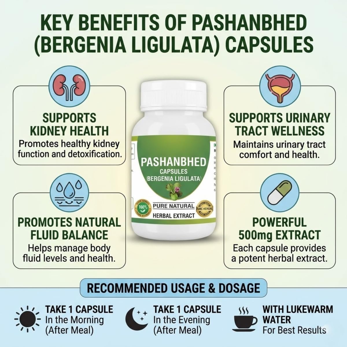 Pashanabheda (Bergenia ligulata) Powder Capsules - 500mg, 240 Vegetable Capsules - görsel 5