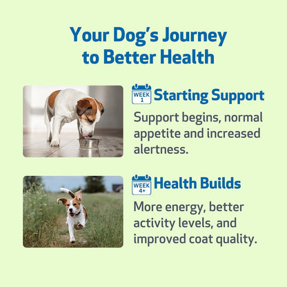 Pet Wellbeing Milk Thistle for Dogs – Organic Liver Support Liquid, 60 ml