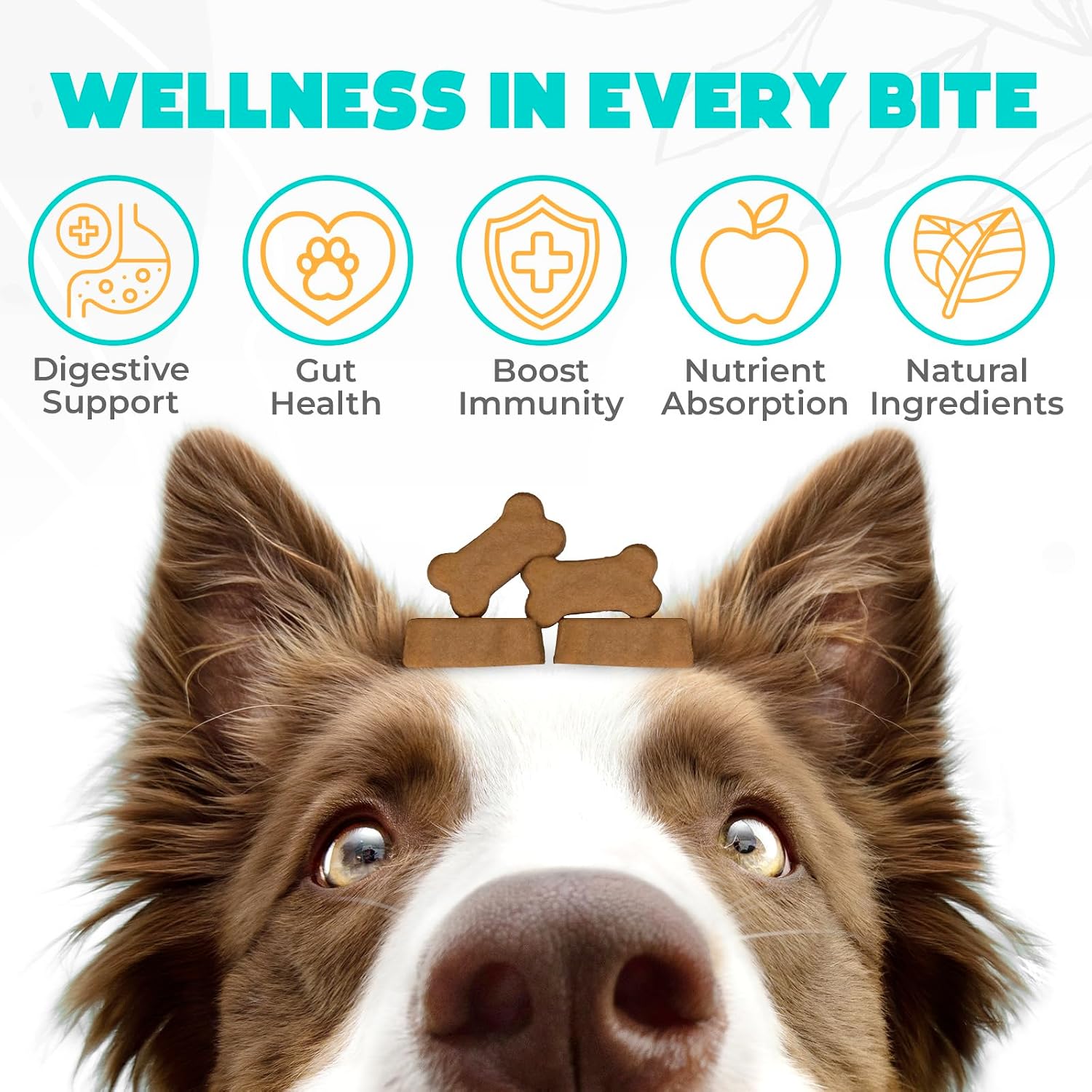 Probiotics for Dogs Chews 150PCs – Digestive, Gut Health & Diarrhoea Support – Probiotic Chews for Dogs – Vet Approved Formula with Dog Probiotics, Enzymes & Natural Ingredients – Beef Flavour - görsel 2
