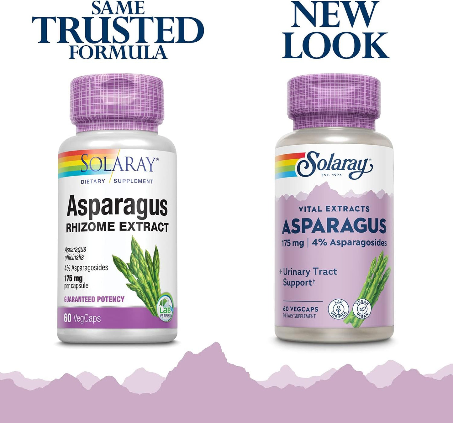 SOLARAY Asparagus 175 mg – Urinary Tract and Digestive Support, 60 Vegan Capsules - görsel 2