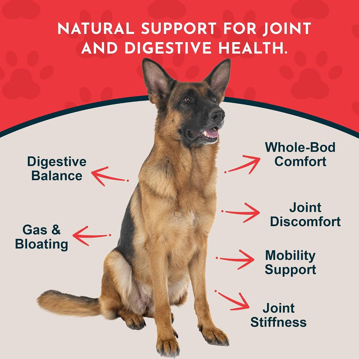 Yucca - Hip and Joint Yucca Root Supplement for Dogs & Cats, Liquid Herbal Care Drops for Senior Dogs & Older Pets, Digestion & Immune Support, Antioxidant Boost - 30 ml - görsel 3