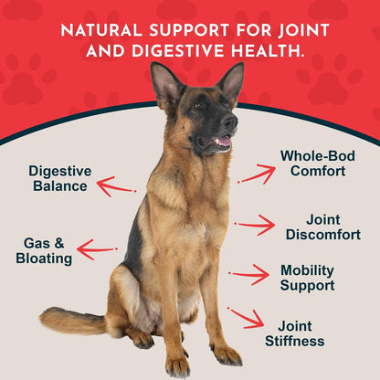 Yucca - Hip and Joint Yucca Root Supplement for Dogs & Cats, Liquid Herbal Care Drops for Senior Dogs & Older Pets, Digestion & Immune Support, Antioxidant Boost - 30 ml