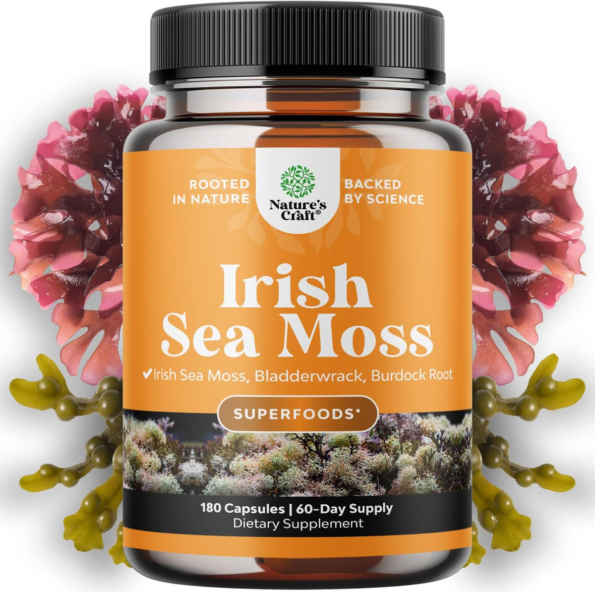 Natures Craft Irish Sea Moss Capsules - 2100mg Superfood Complex with Bladderwrack, Burdock Root and BioPerine for Immune, Thyroid and Digestive Support - Vegan, Non-GMO - 180 Count - görsel 1