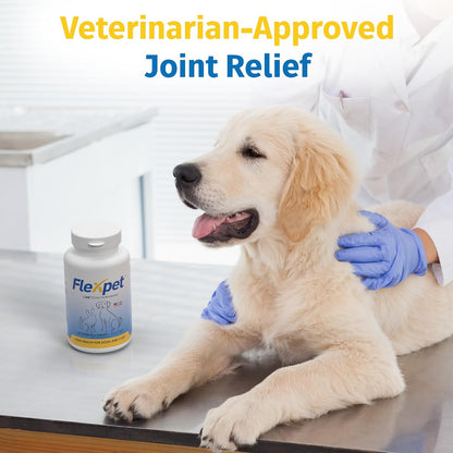 Hip & Joint Supplement for Dogs & Cats with Cetyl Myristoleate, Glucosamine, Collagen, MSM - Advanced Joint Support for Mobility, Senior Pets, Small & Large Breeds - 180 Tablets (Pork Liver Flavour)