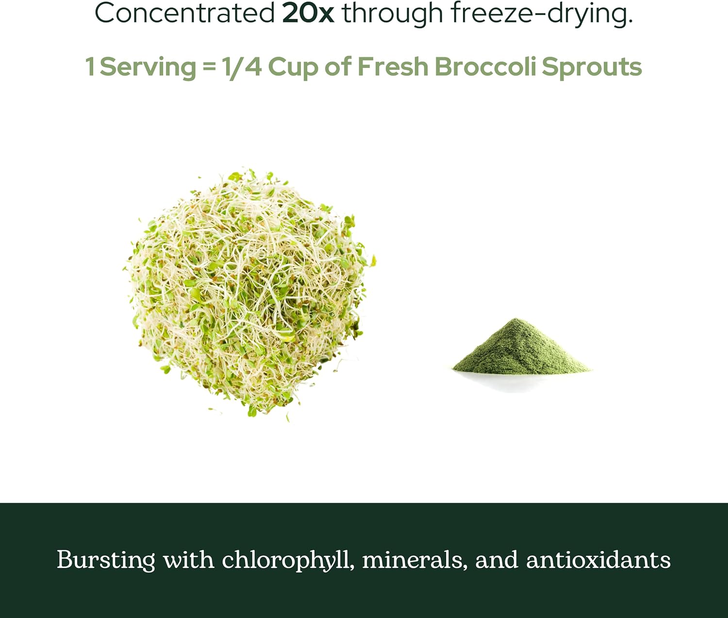 Eclectic Herb – Broccoli Sprouts Powder, Organic, Freeze-Dried, 122g - görsel 8