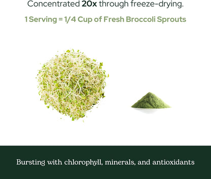 Eclectic Herb – Broccoli Sprouts Powder, Organic, Freeze-Dried, 122g