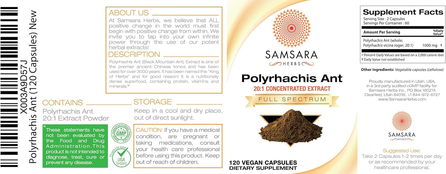 Polyrhachis Black Ant Extract (120 Capsules) - görsel 4