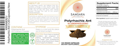 Polyrhachis Black Ant Extract (120 Capsules)