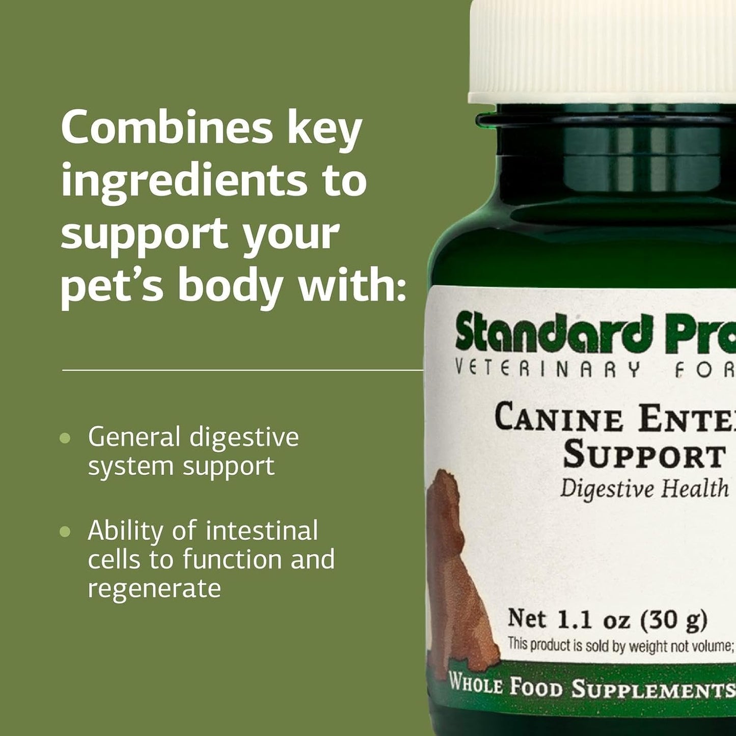 Standard Process Canine Enteric Support – Digestive Support for Dogs (30g) - görsel 4