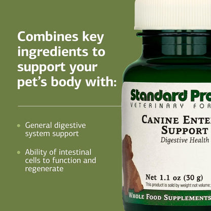 Standard Process Canine Enteric Support – Digestive Support for Dogs (30g)