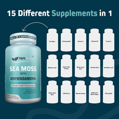 Herbtonics Sea Moss, Black Cumin Seed, Ashwagandha, Burdock Root & Apple Cider Vinegar Complex - 60 Capsules