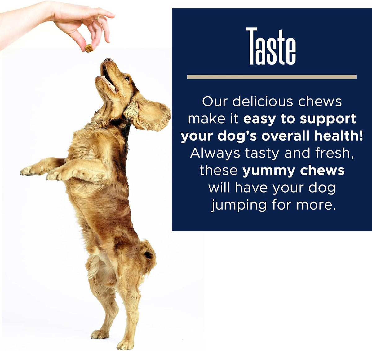 Healthy Pup Multi Max Dog Multivitamin Supplement – 120 Soft Chews - görsel 7
