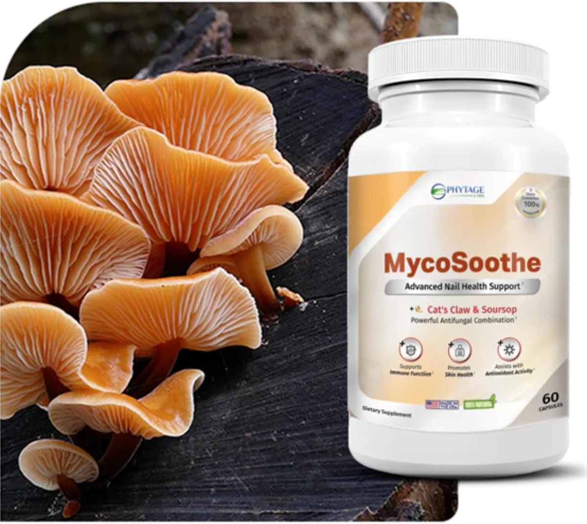 MycoSoothe Advanced Hair, Skin and Nail Support Formula – 60 Capsules - görsel 2