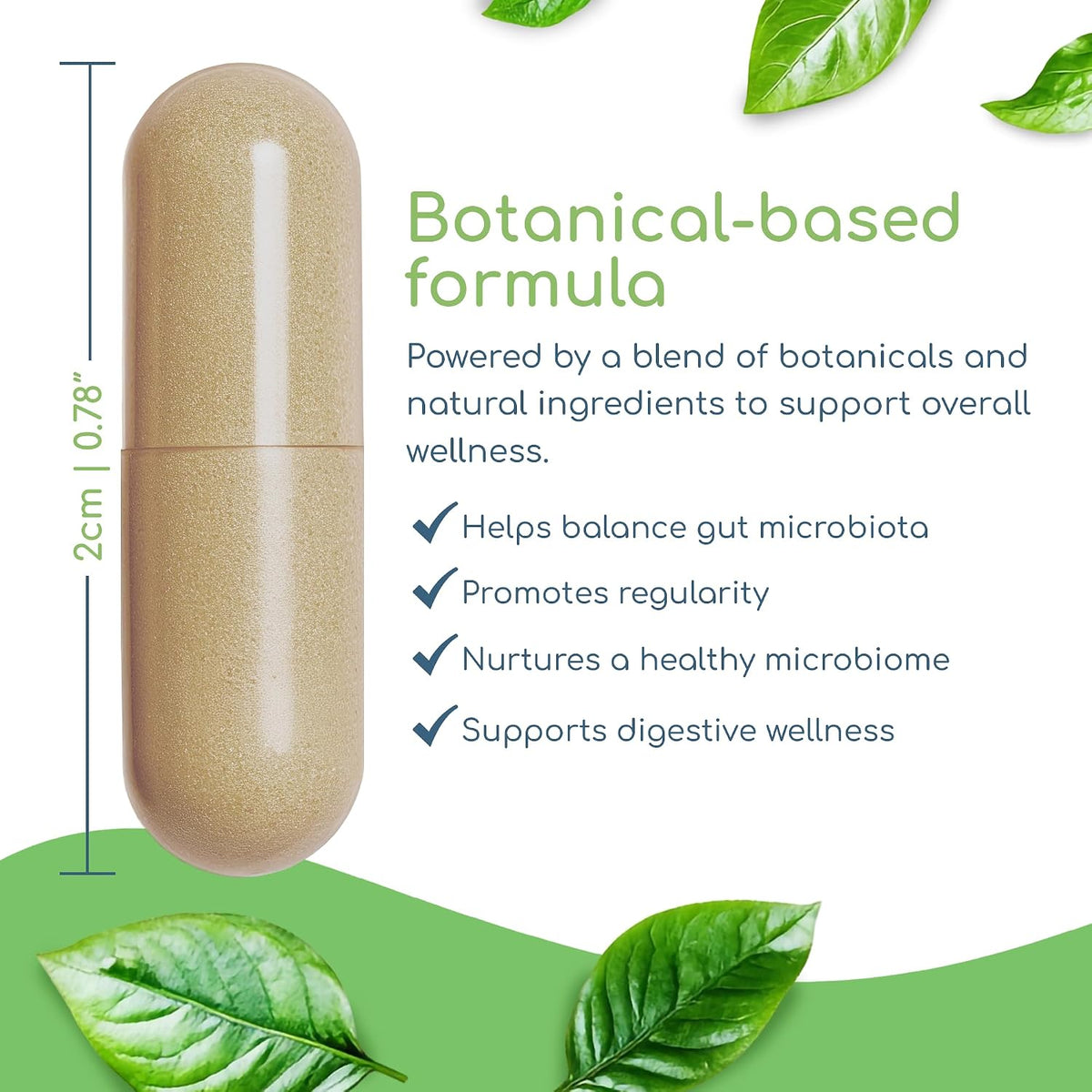 Microbiome Balance – Gut Health Supplement with Monolaurin & Caprylic Acid – 120 Capsules - görsel 4