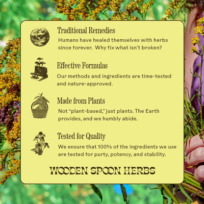 Lemon & Ginger Immune Support Drink Mix with Elderberry, Echinacea, Zinc and Vitamin C - 10 Sachets