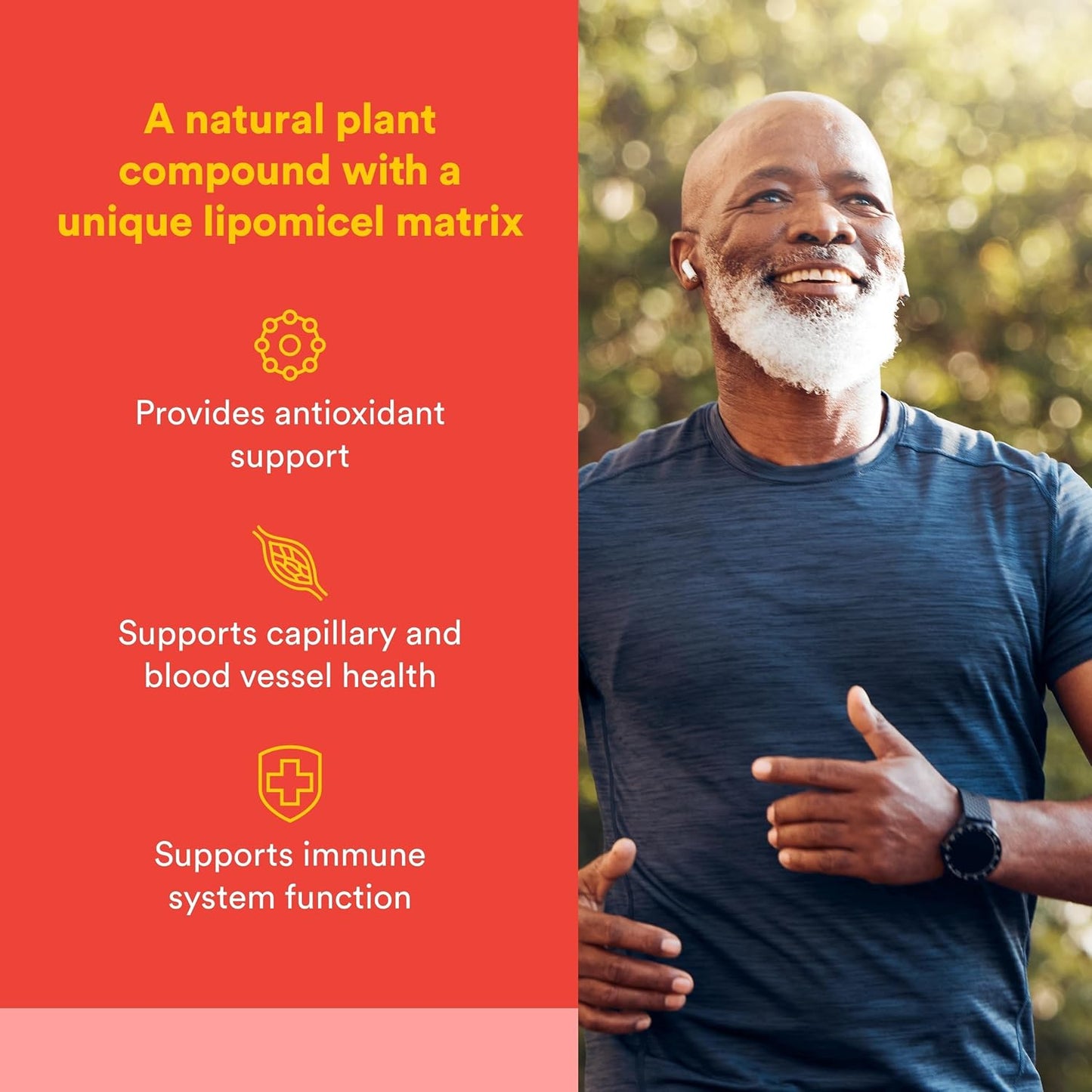 Natural Factors Quercetin LipoMicel Matrix - Superior Absorption Softgels, 60 Softgels - görsel 2