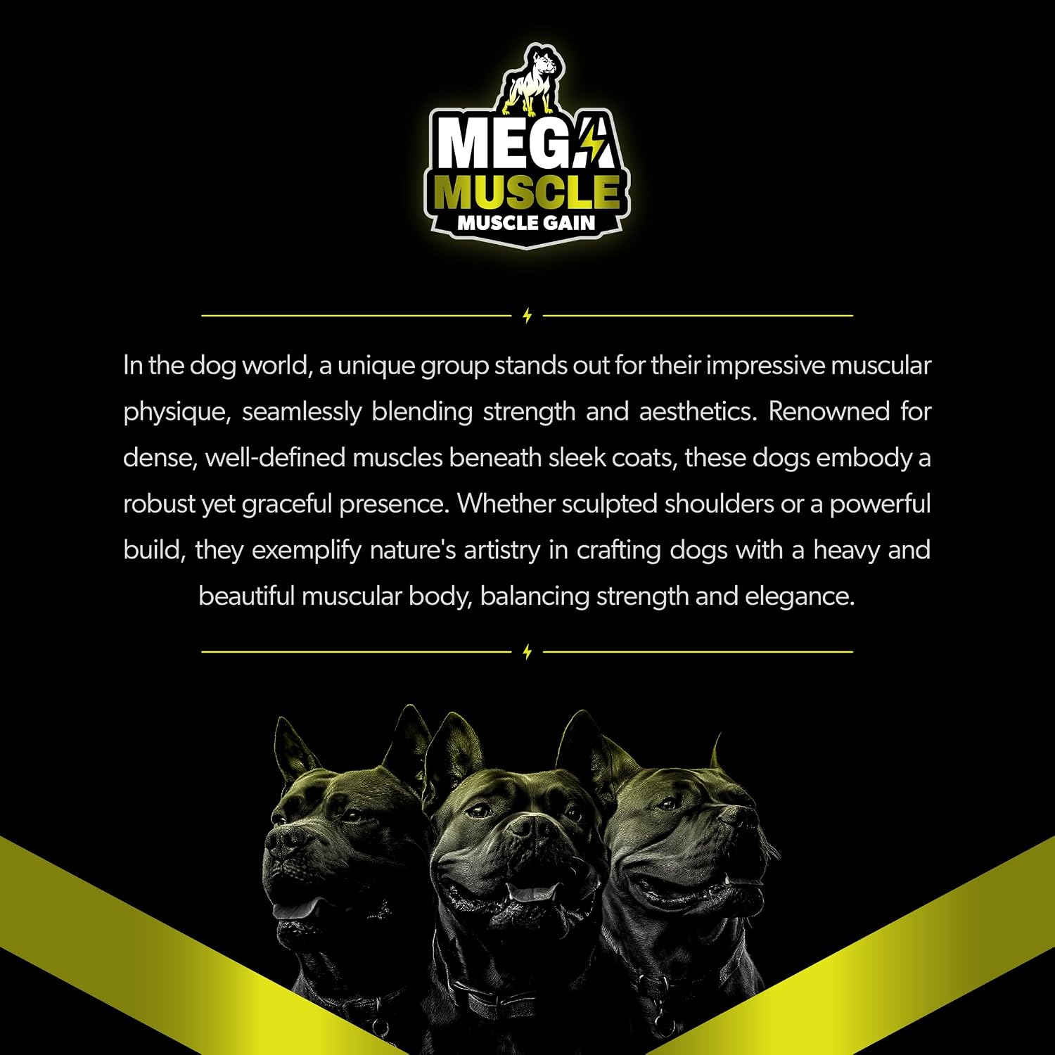 PETBEING Mega Muscle for Dogs - Daily Chewable Multivitamin Tablets, Chicken Flavour, 60 Count - görsel 8