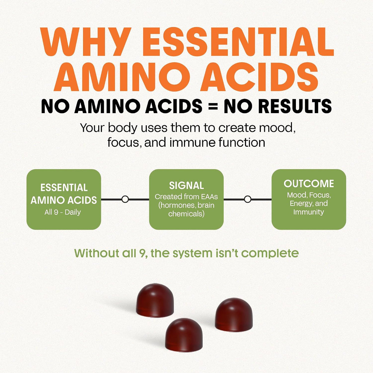 Awesome Everyday Essential Daily Nutrition Gummies - 9 Essential Amino Acids + Vitamins, Minerals & Organic Greens and Superfoods - Fermented Nutrition for Energy, Brain & Immunity – Children – 28 Count - görsel 5