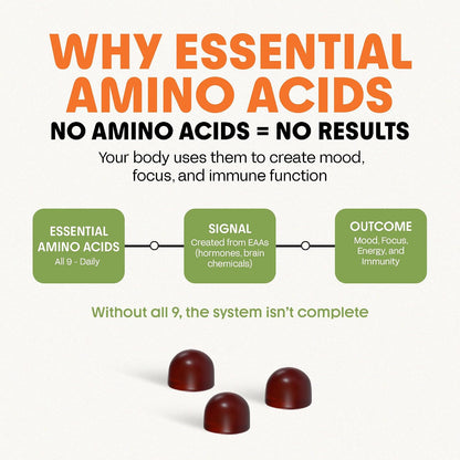 Awesome Everyday Essential Daily Nutrition Gummies - 9 Essential Amino Acids + Vitamins, Minerals & Organic Greens and Superfoods - Fermented Nutrition for Energy, Brain & Immunity – Children – 28 Count