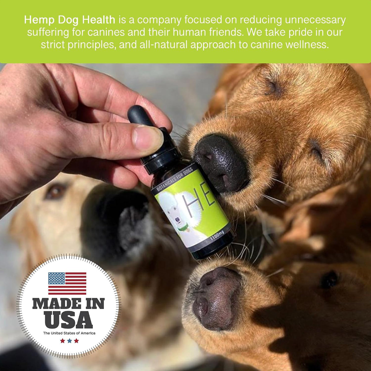 HEAL Pet Hemp Oil for Dogs – Immune & Neurological Support - görsel 5