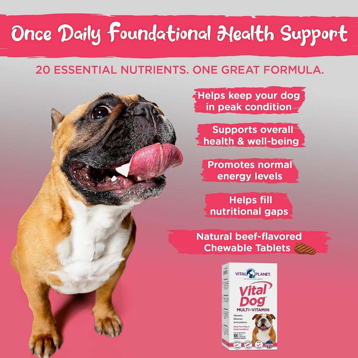 Vital Planet Vital Dog Multivitamin Chewable Tablets for Dogs, 30 Tablets - görsel 3