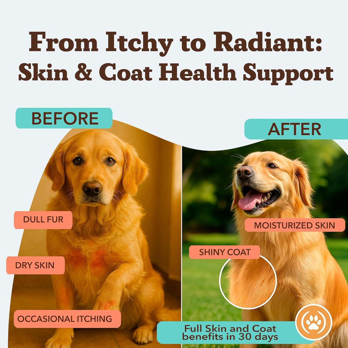 Natural Dog Company Skin & Coat Supplement for Dogs – Omega-3 Salmon Oil, Biotin & Vitamin E, 90 Soft Chews - görsel 2