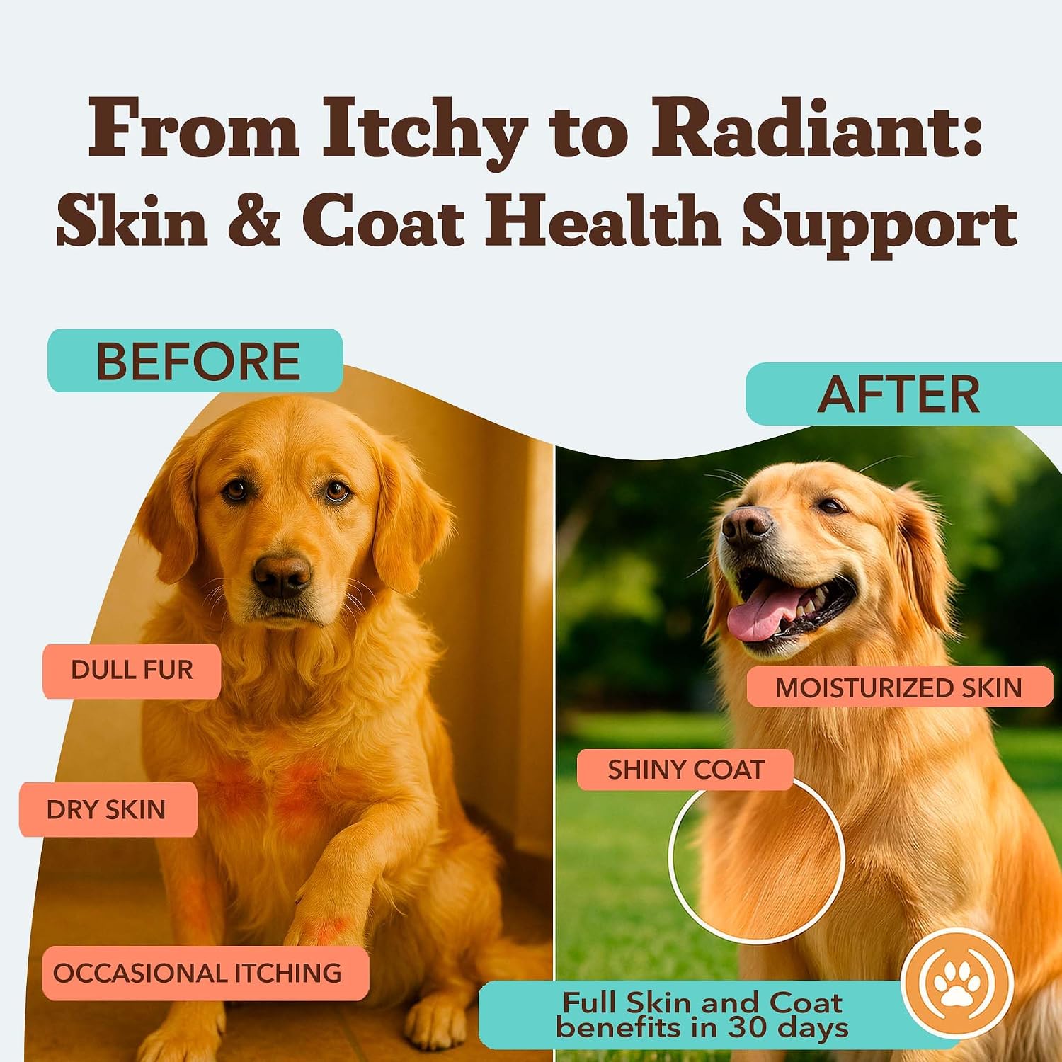 Natural Dog Company Skin & Coat Supplement Chew for Dogs – Omega 3 Salmon Oil, Biotin & Vitamin E, 180 Count - görsel 2