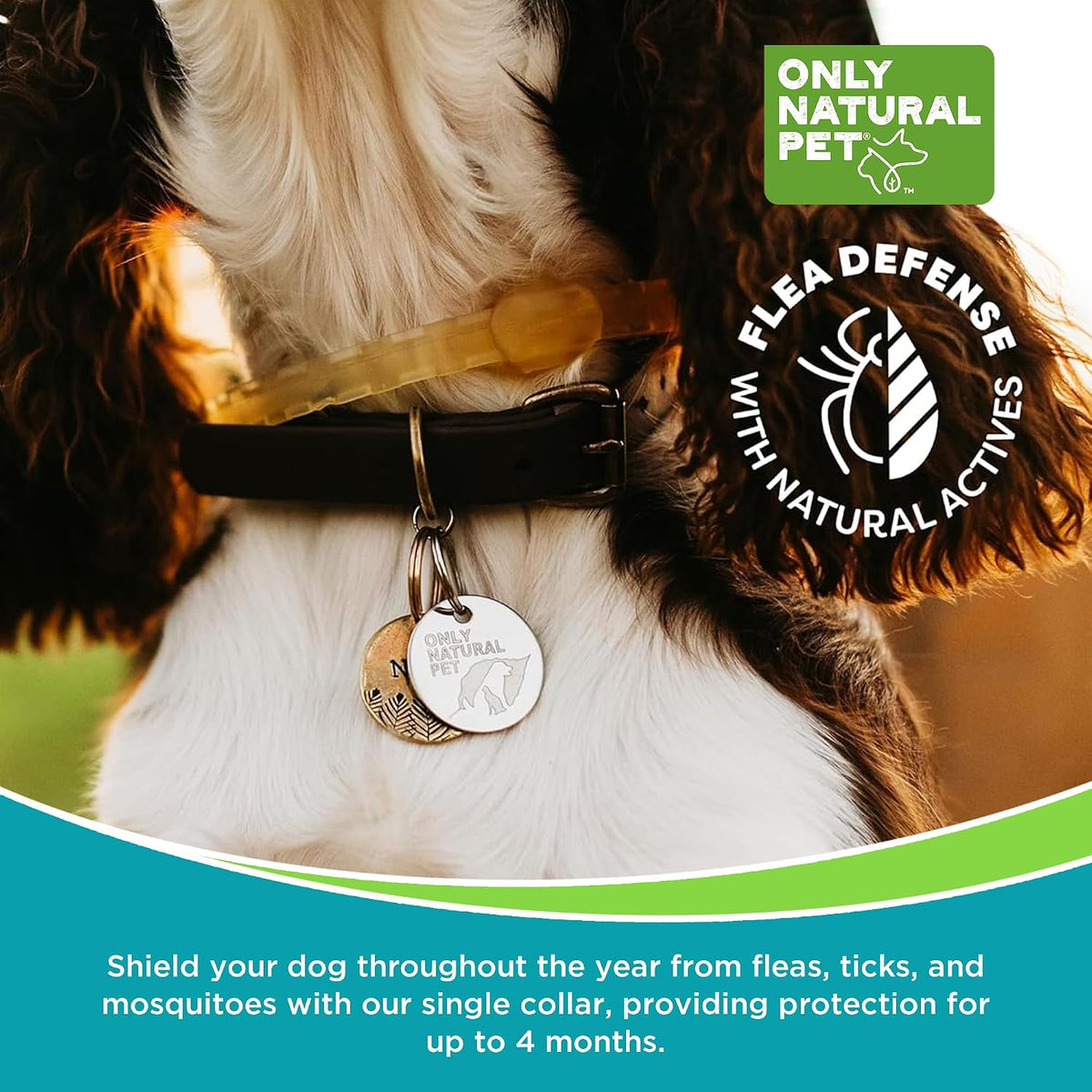 ONLY NATURAL PET 3-in-1 Wellness Kit for Small Dogs - görsel 5