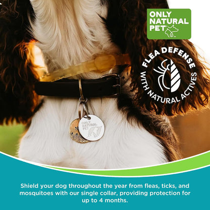 ONLY NATURAL PET 3-in-1 Wellness Kit for Small Dogs