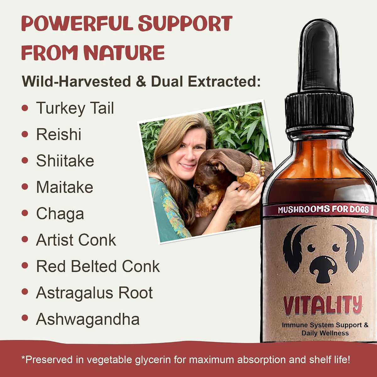 Vitality - 20-in-1 Turkey Tail Mushroom for Dogs - Mushroom & Adaptogen Supplement for Senior Dogs - Supporting Immune Health & Daily Wellness - with Reishi, Chaga - görsel 4