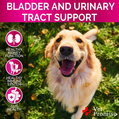 Dog UTI Chews - Advanced Cranberry Supplement for Dogs