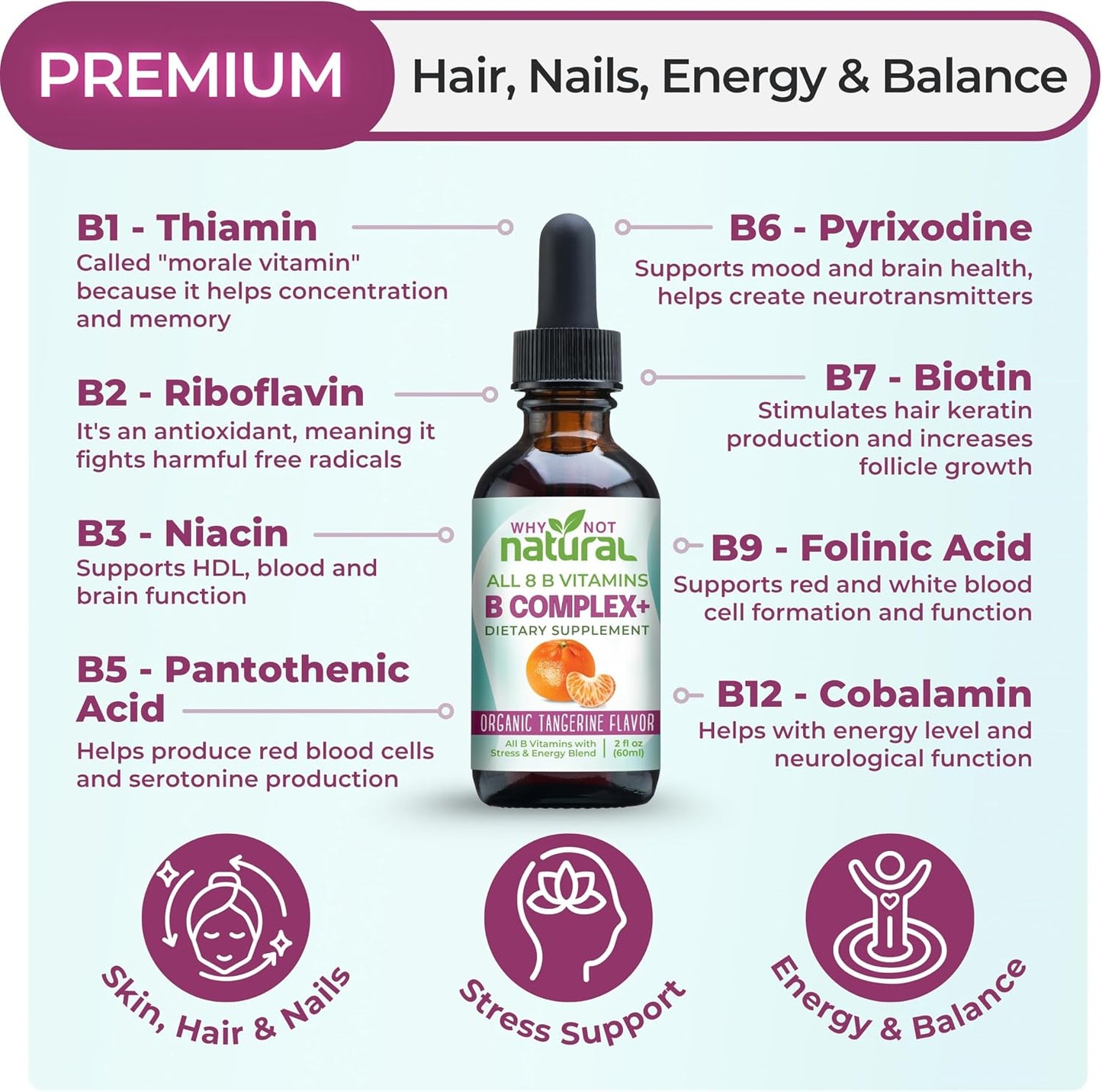 Why Not Natural Vitamin B Complex Liquid Drops – Vegan Sublingual B-Complex with Bio-available B1, B2, B3, B5, B6, Biotin, Folate, B12, Choline and Energy Support Blend - görsel 2