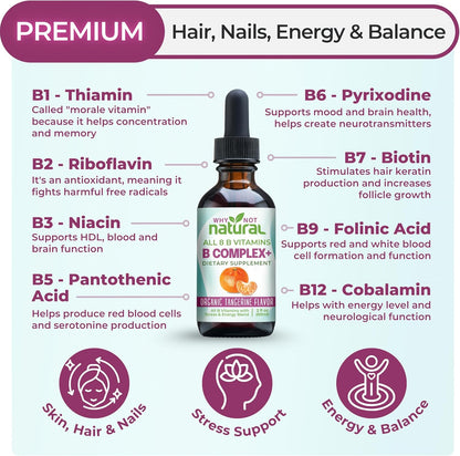 Why Not Natural Vitamin B Complex Liquid Drops – Vegan Sublingual B-Complex with Bio-available B1, B2, B3, B5, B6, Biotin, Folate, B12, Choline and Energy Support Blend