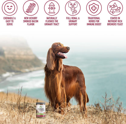 Strawfield Pets Cranberry Bladder and UTI Chews for Dogs - D-Mannose + Vitamin C for Urinary Tract Support, Bacon Flavoured Soft Chews (120 count)