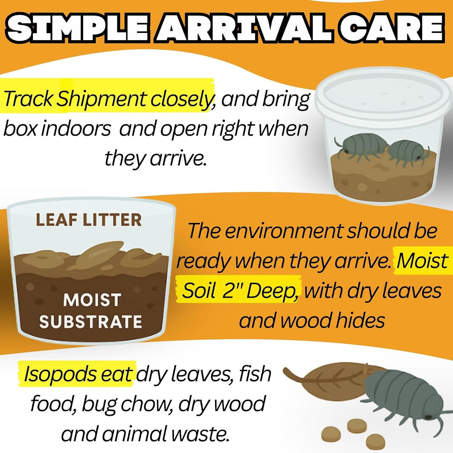 Bioactive Combo | 25 Powder Orange Isopods | 8 oz Coco Temperate Springtails | Live Delivery Guaranteed - görsel 8