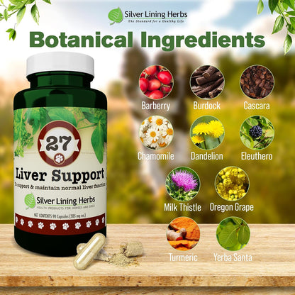 Dog Liver Support - Natural Herbal Dog Vitamins with Milk Thistle Extract, Turmeric, Chamomile & More - Daily Canine Wellness for Liver Support - 90 Capsules